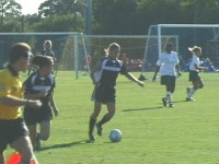 1200l.jpg (11068 bytes)