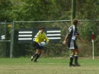 1200w.jpg (11212 bytes)